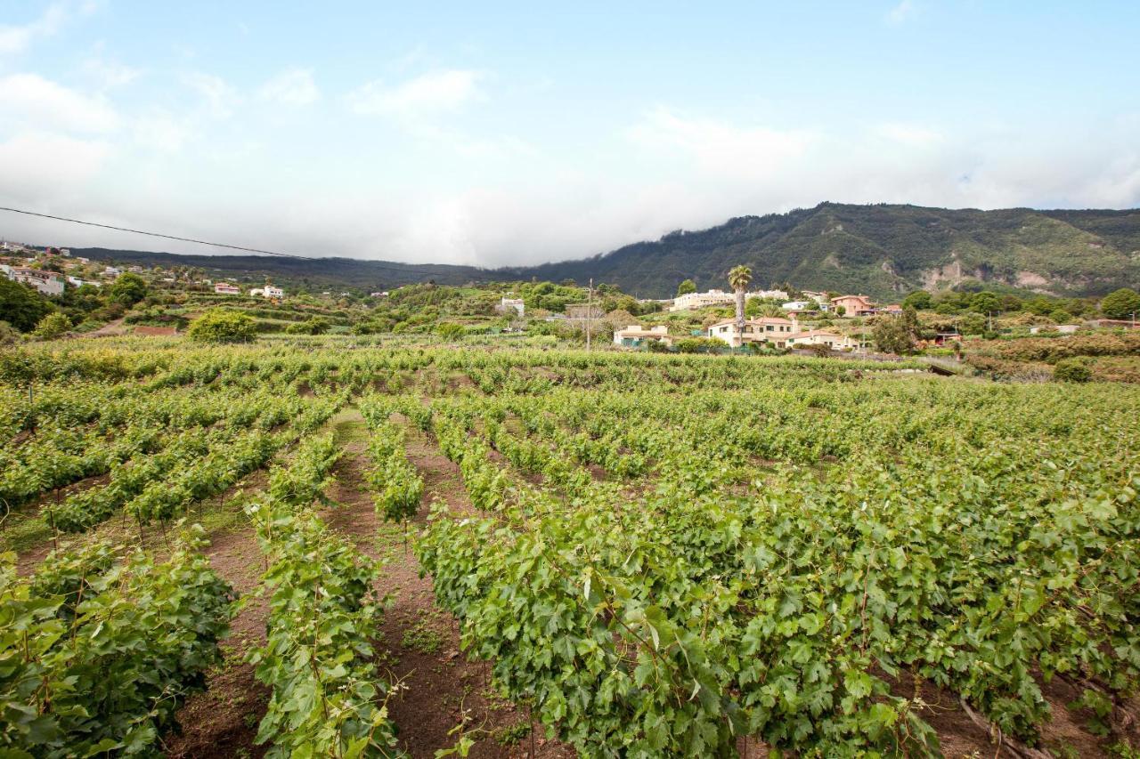 Casa La Chocita Villa Los Realejos Kültér fotó
